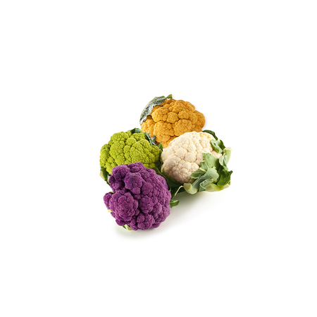 Renkli Karnabahar Erüst